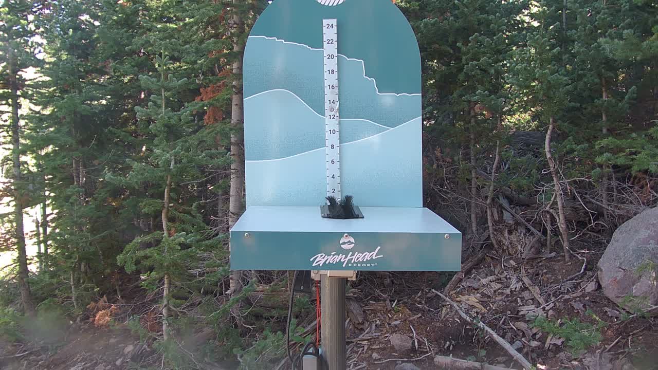 Snow Stake